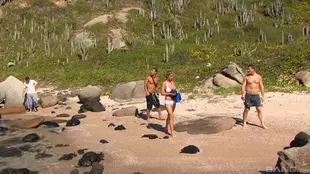 A daring blonde participates in a group sex encounter at the beach with several partners, engaging in intense anal activities